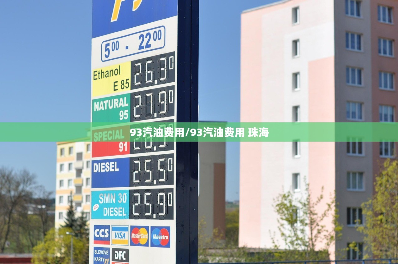 93汽油费用/93汽油费用 珠海