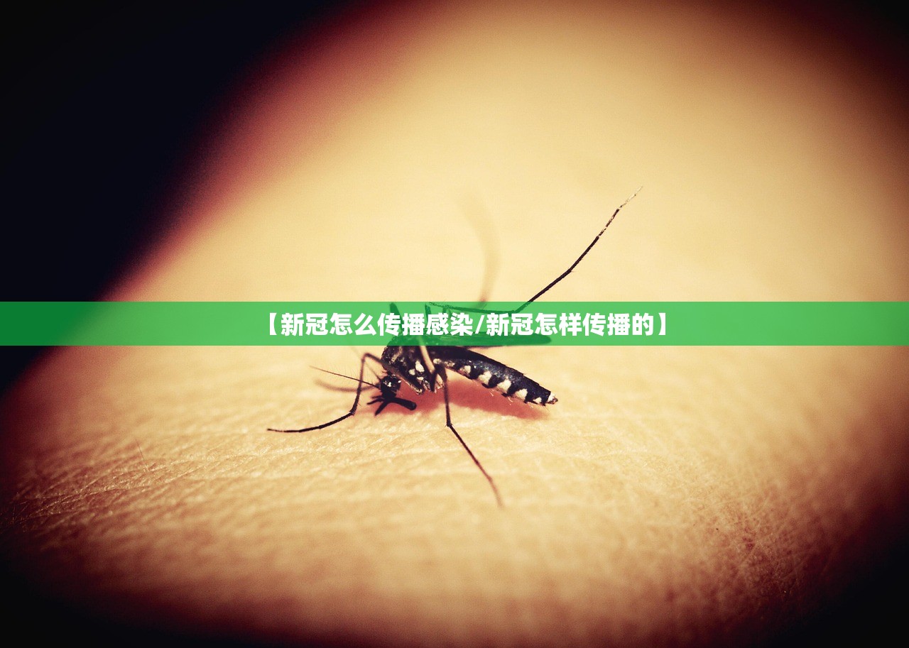 【新冠怎么传播感染/新冠怎样传播的】