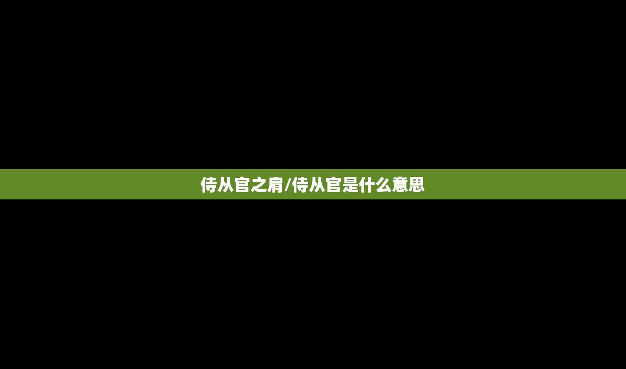 侍从官之肩/侍从官是什么意思