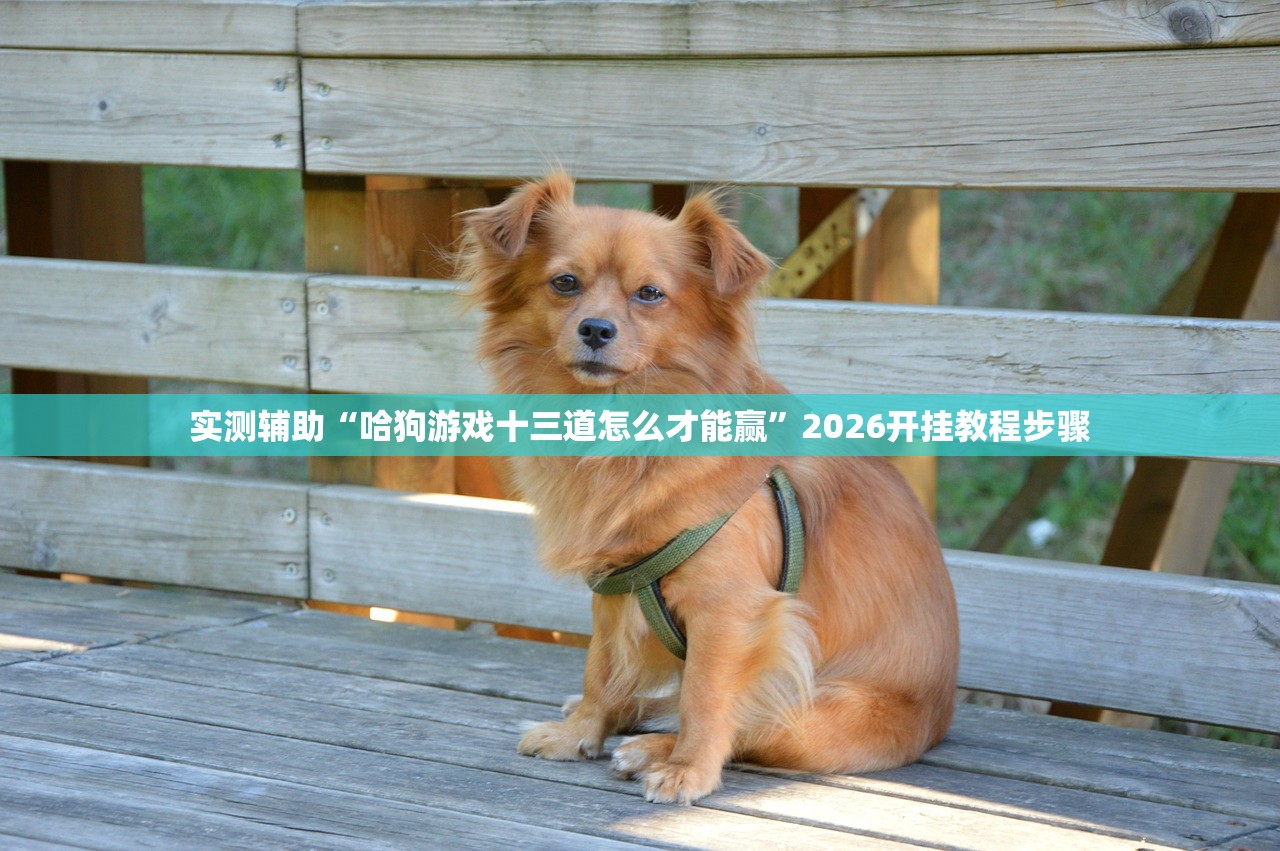 【多地取消查48小时核酸专家:非躺平/多地调整春节返乡管控政策取消一部分核酸检测要求】