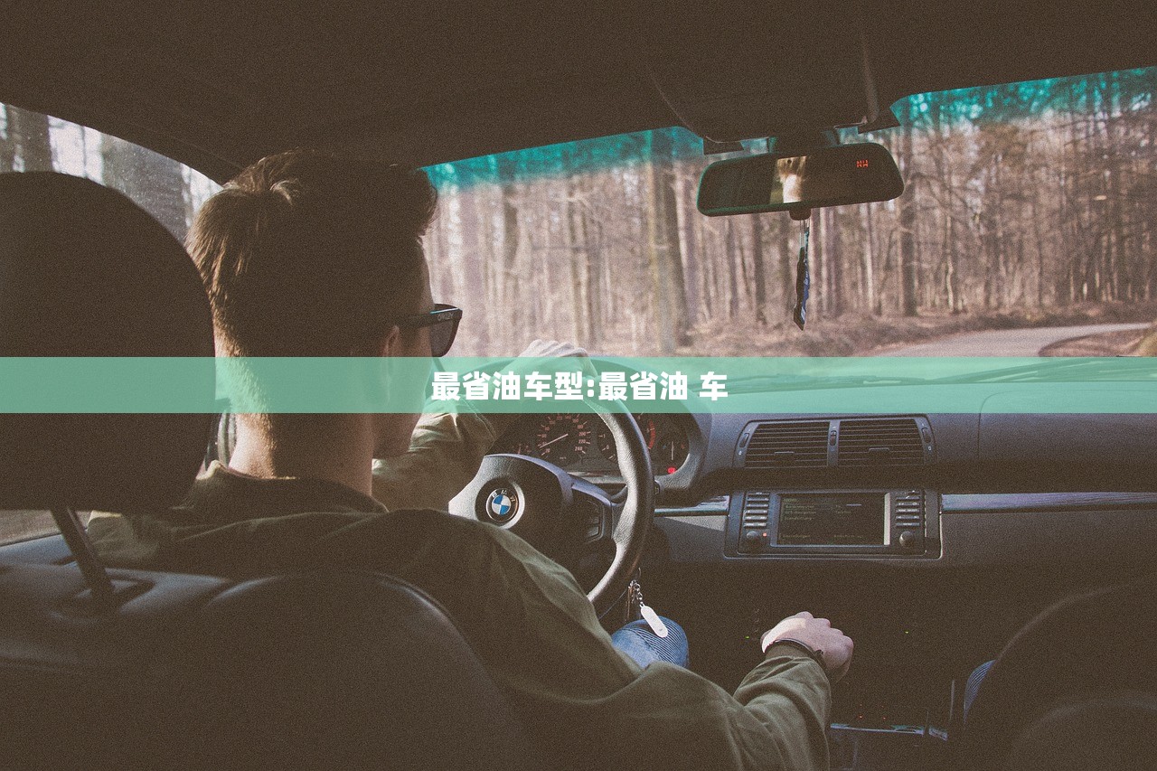 最省油车型:最省油 车