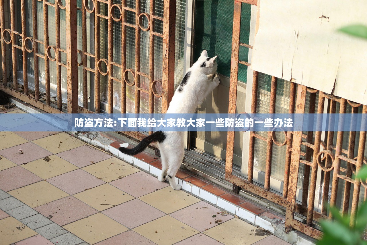 防盗方法:下面我给大家教大家一些防盗的一些办法