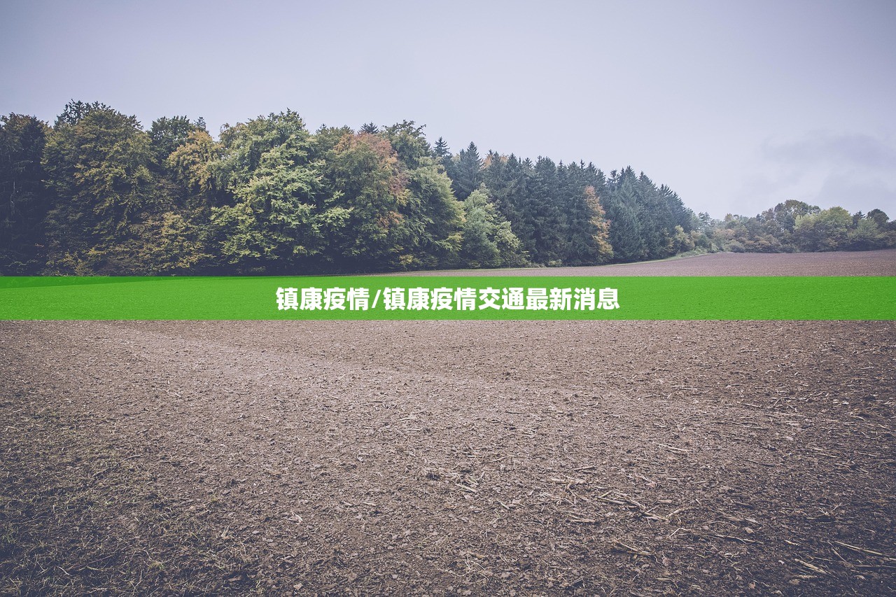 镇康疫情/镇康疫情交通最新消息