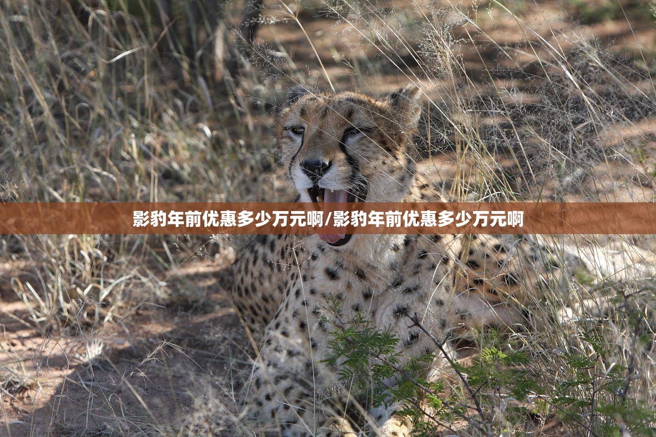 一键必胜“手机上打跑得快软件能开挂是真的吗(透视)”开挂辅助脚本+详细开挂安装教程