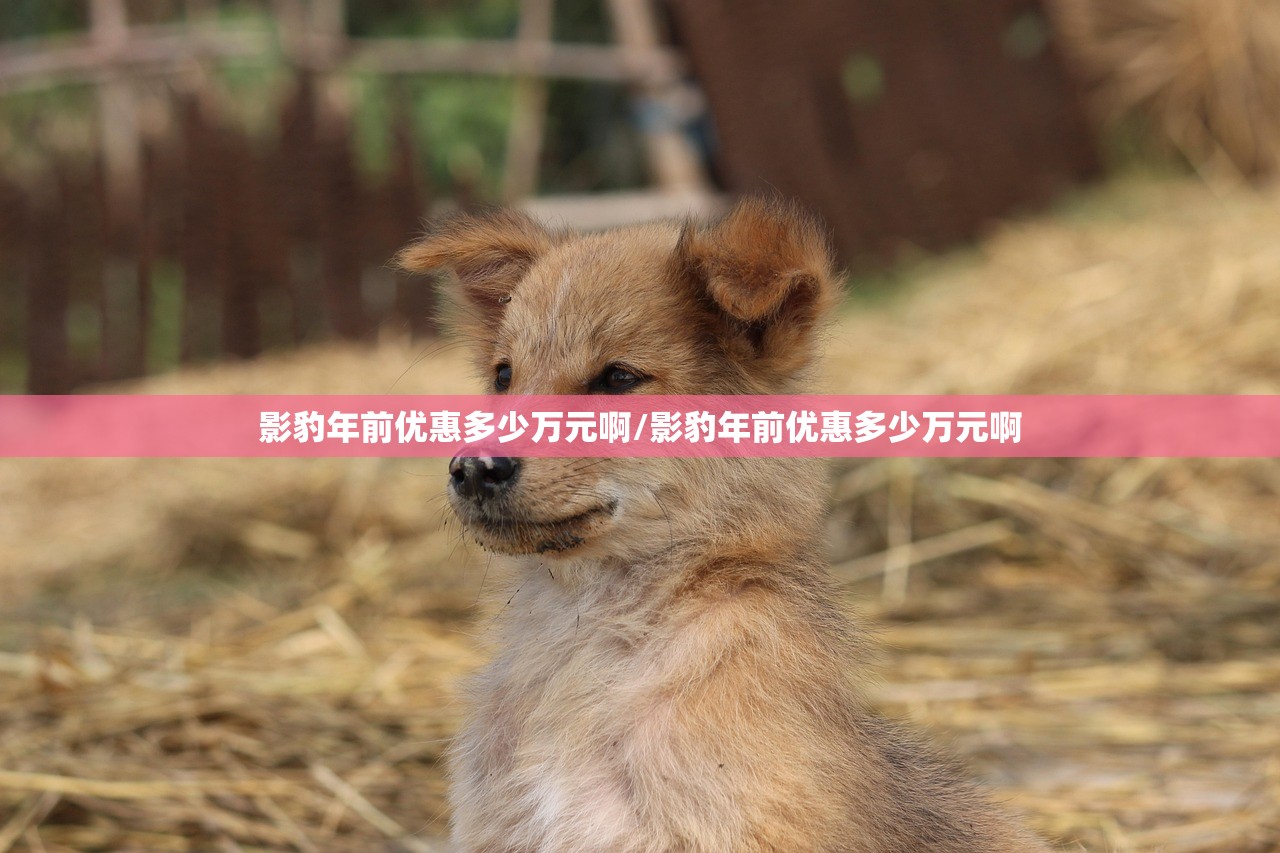 影豹年前优惠多少万元啊/影豹年前优惠多少万元啊