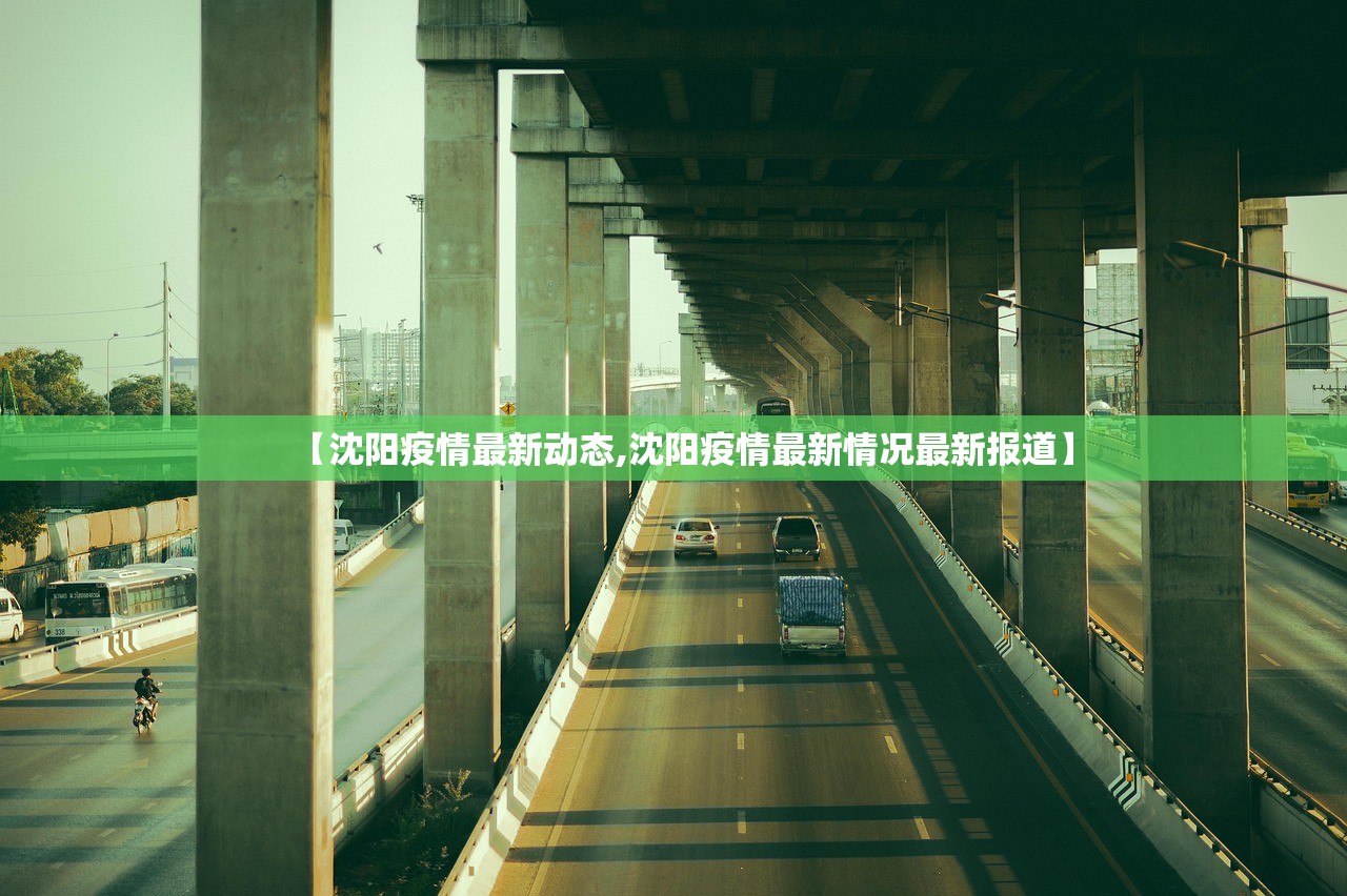 【沈阳疫情最新动态,沈阳疫情最新情况最新报道】
