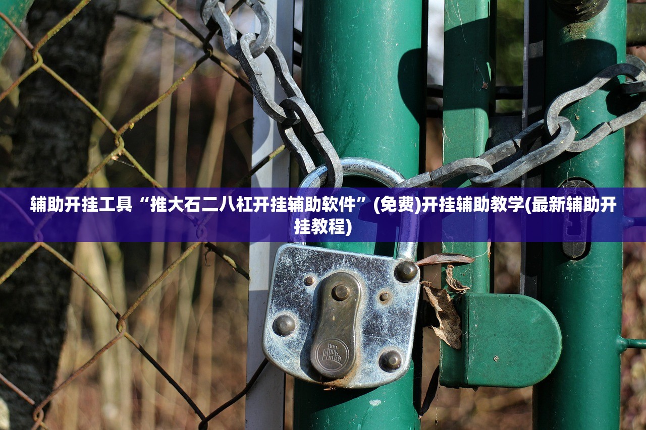 辅助开挂工具“推大石二八杠开挂辅助软件”(免费)开挂辅助教学(最新辅助开挂教程)