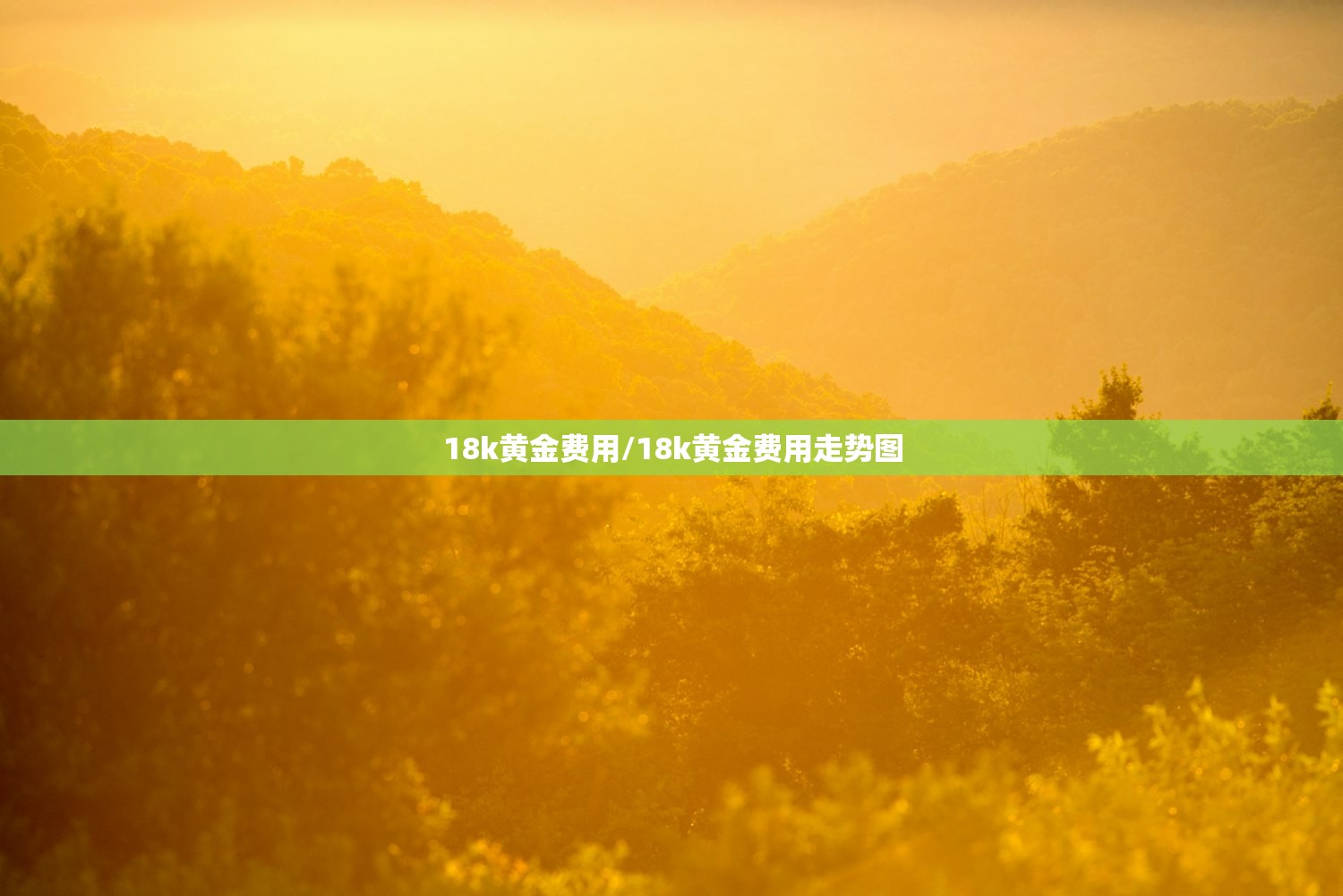 18k黄金费用/18k黄金费用走势图