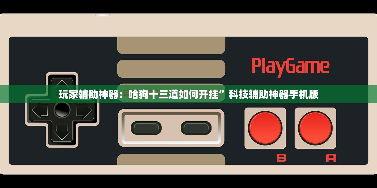 玩家辅助神器：哈狗十三道如何开挂”科技辅助神器手机版