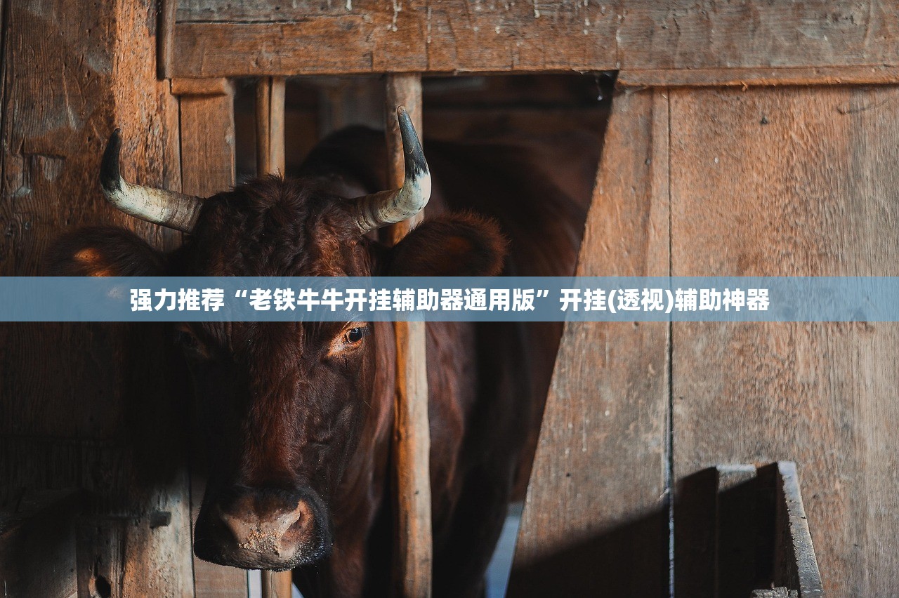 助赢神器“微乐宁夏到底有没有挂”科技辅助神器手机版
