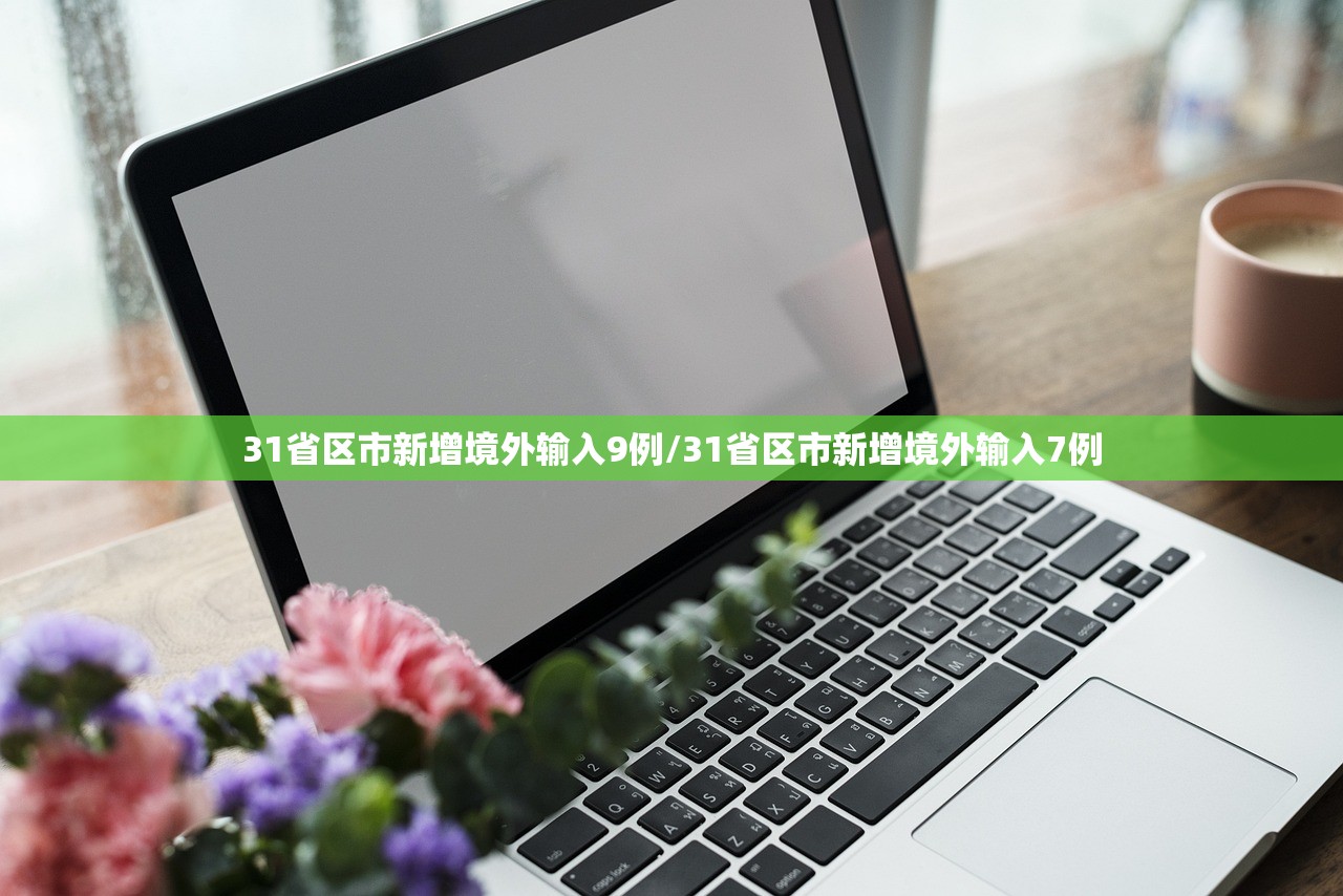 31省区市新增境外输入9例/31省区市新增境外输入7例