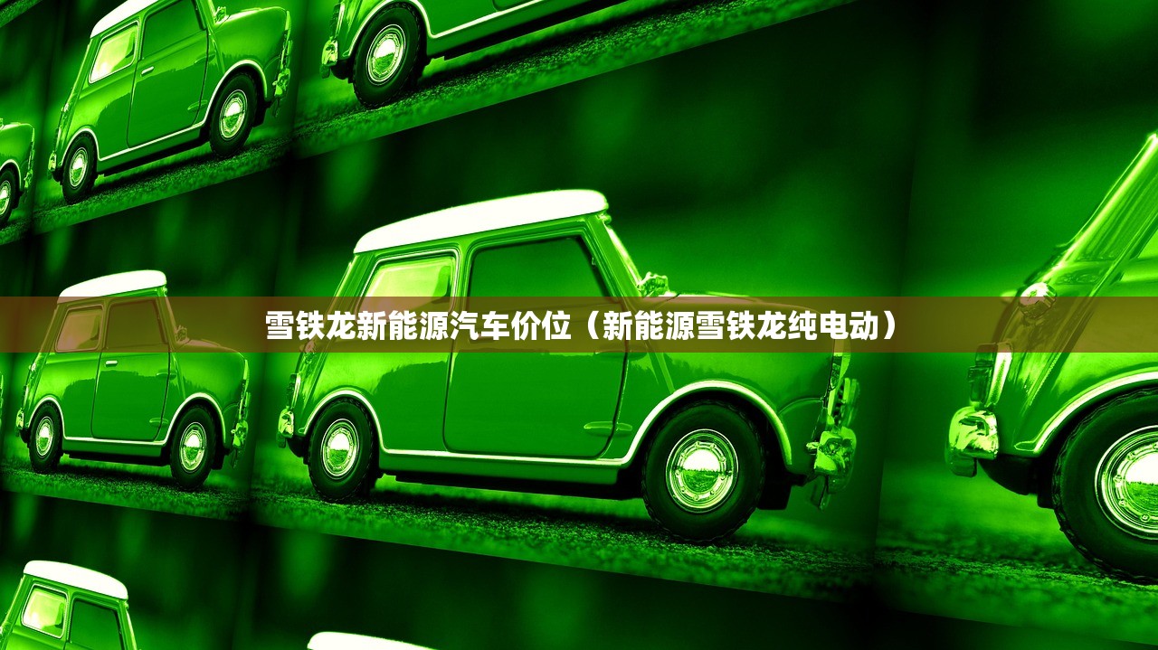 雪铁龙新能源汽车价位（新能源雪铁龙纯电动）