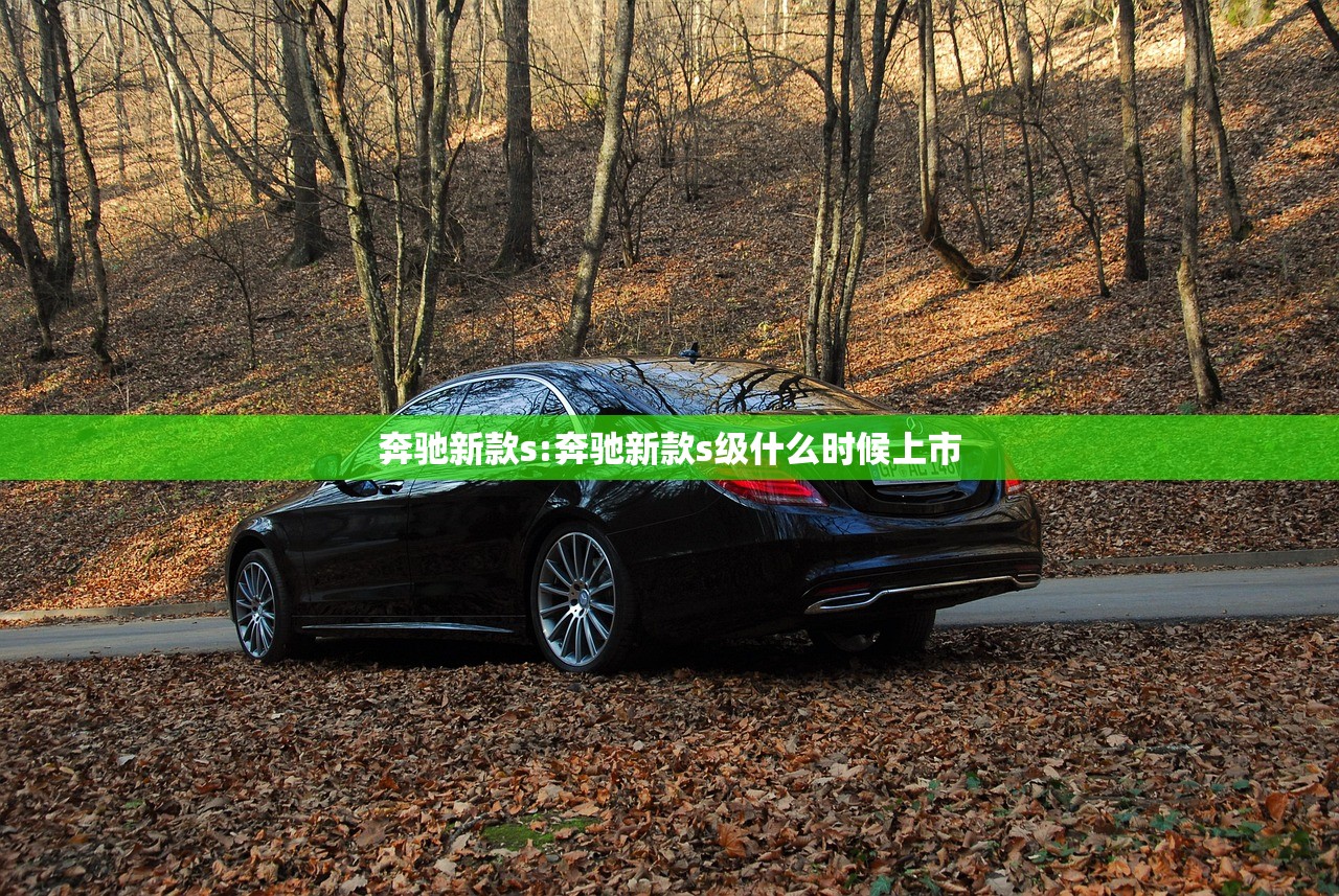 奔驰新款s:奔驰新款s级什么时候上市