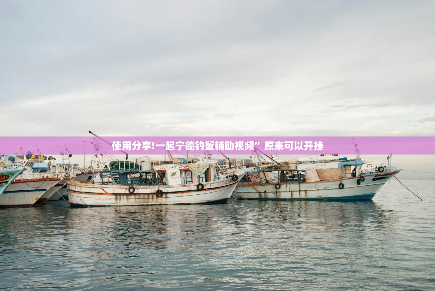使用分享!一起宁德钓蟹辅助视频”原来可以开挂