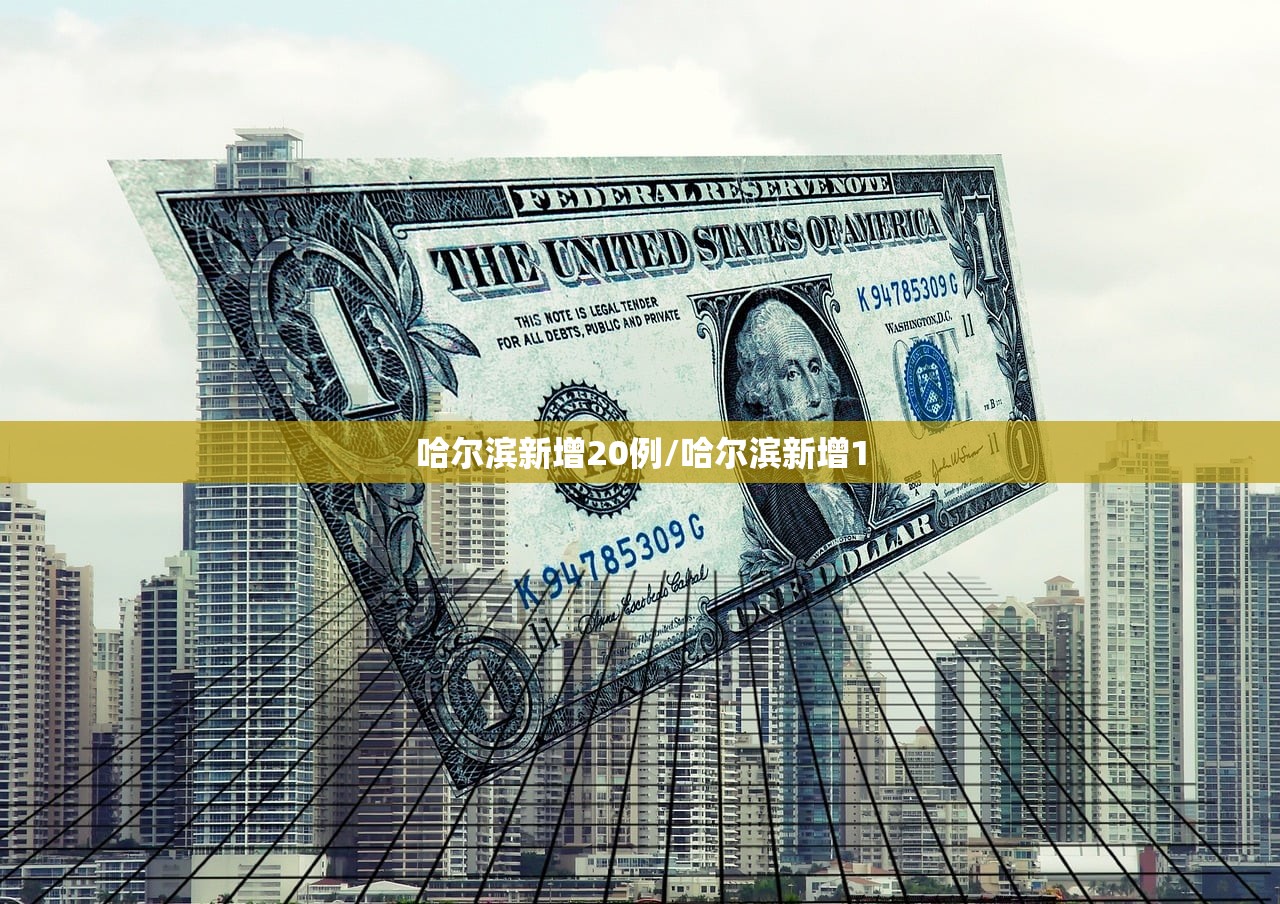 哈尔滨新增20例/哈尔滨新增1