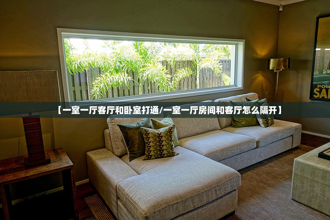 【一室一厅客厅和卧室打通/一室一厅房间和客厅怎么隔开】