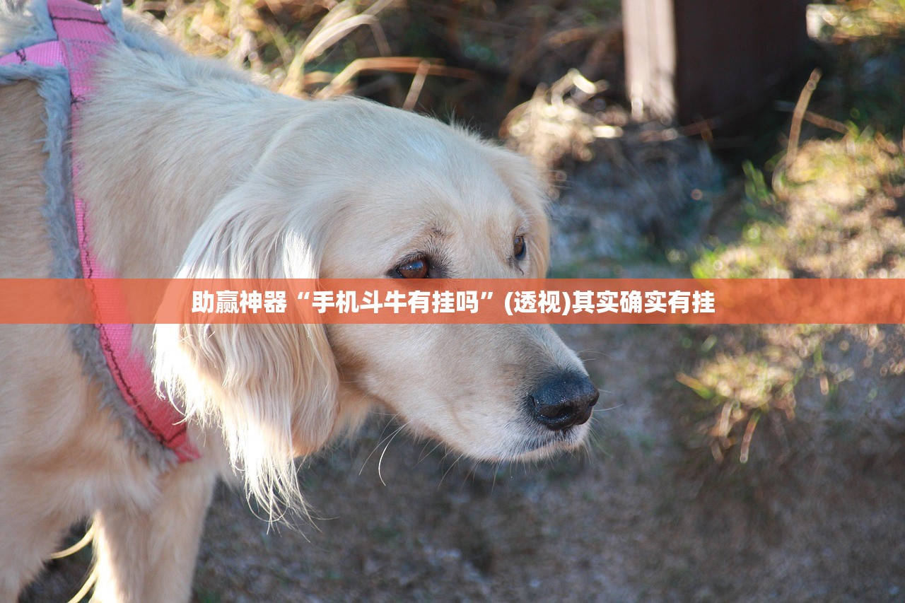 哈尔滨新增20例/哈尔滨新增1
