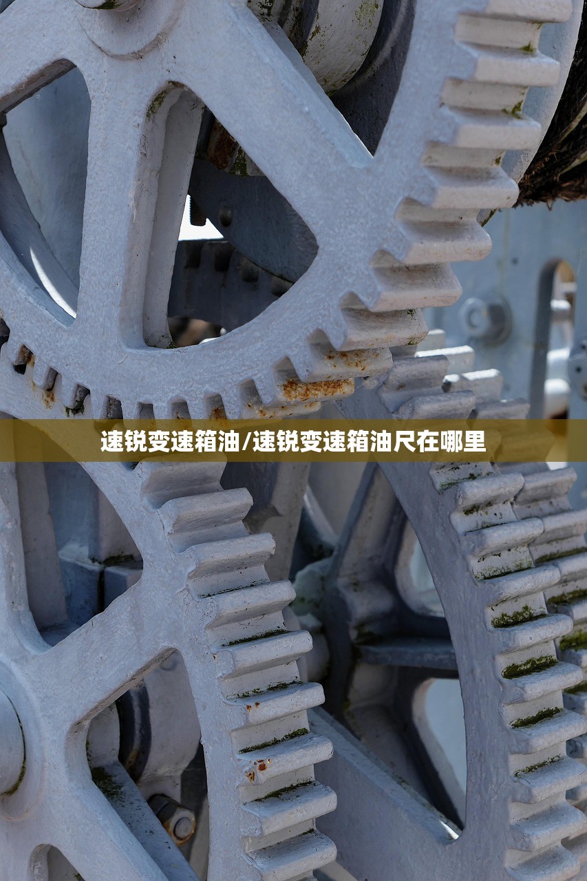 速锐变速箱油/速锐变速箱油尺在哪里