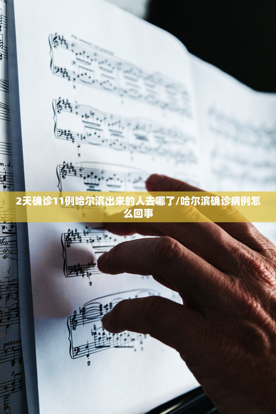 2天确诊11例哈尔滨出来的人去哪了/哈尔滨确诊病例怎么回事