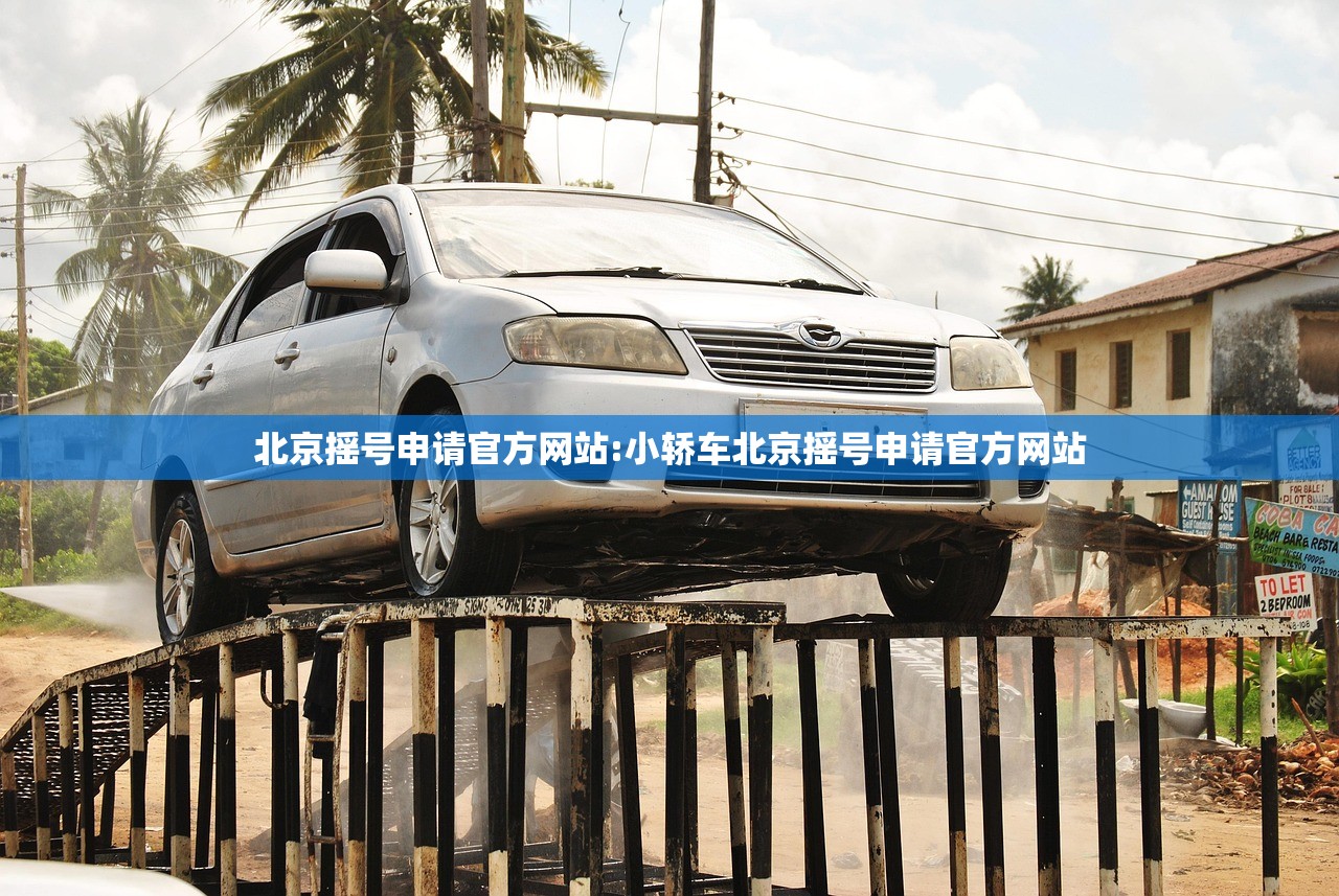 北京摇号申请官方网站:小轿车北京摇号申请官方网站