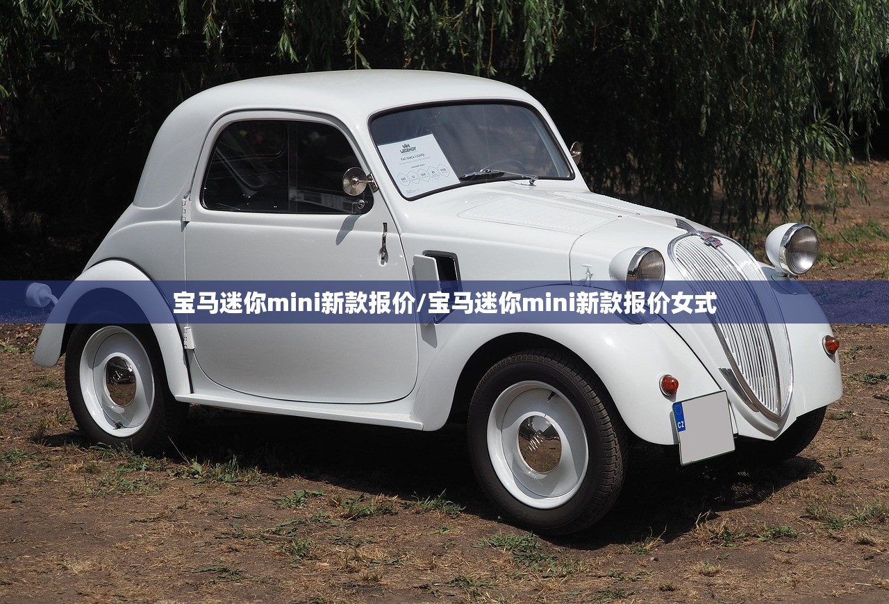 宝马迷你mini新款报价/宝马迷你mini新款报价女式