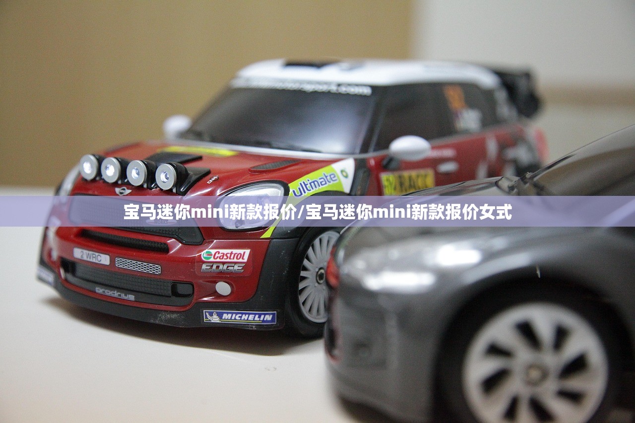宝马迷你mini新款报价/宝马迷你mini新款报价女式