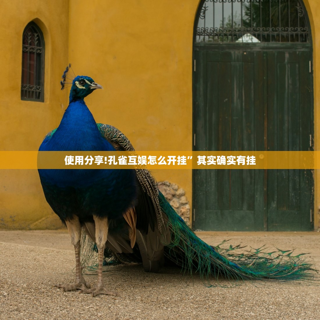 必备科技“荔浦联盟透视辅助器”开挂(透视)辅助教程
