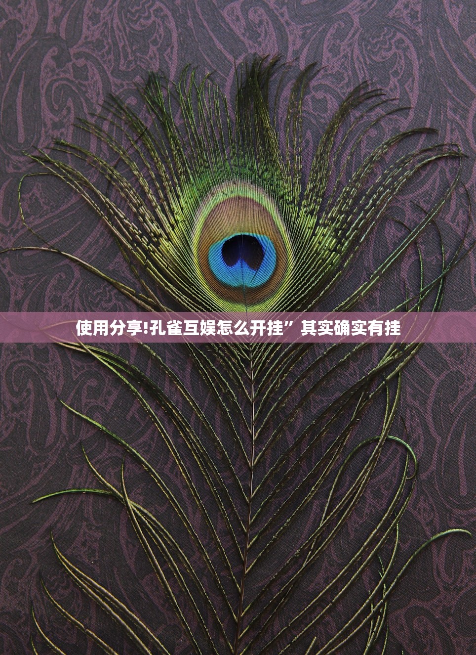 使用分享!孔雀互娱怎么开挂”其实确实有挂