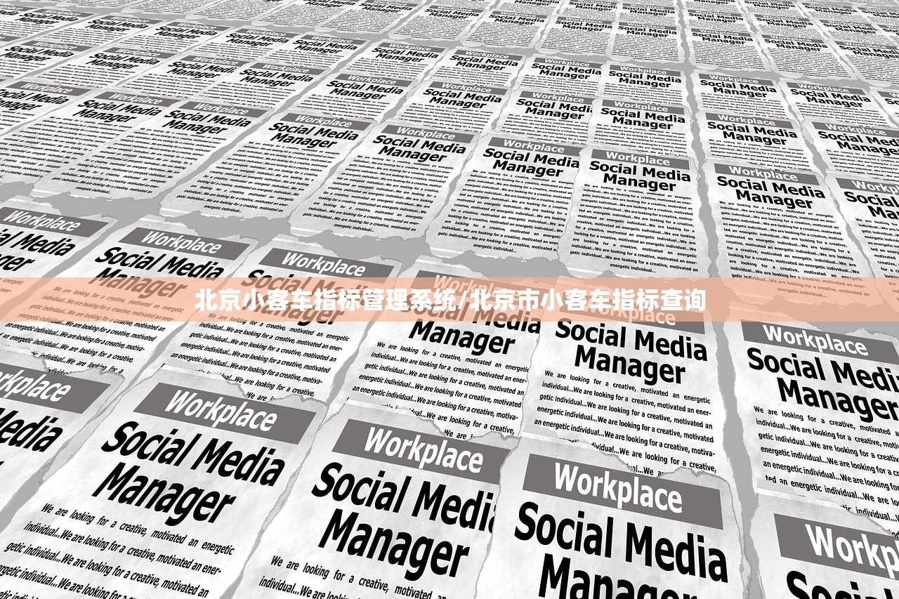 北京小客车指标管理系统/北京市小客车指标查询