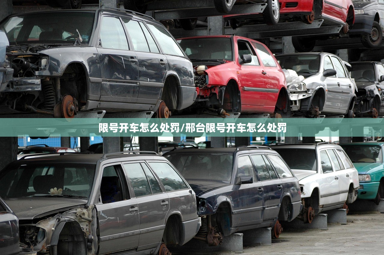 限号开车怎么处罚/邢台限号开车怎么处罚