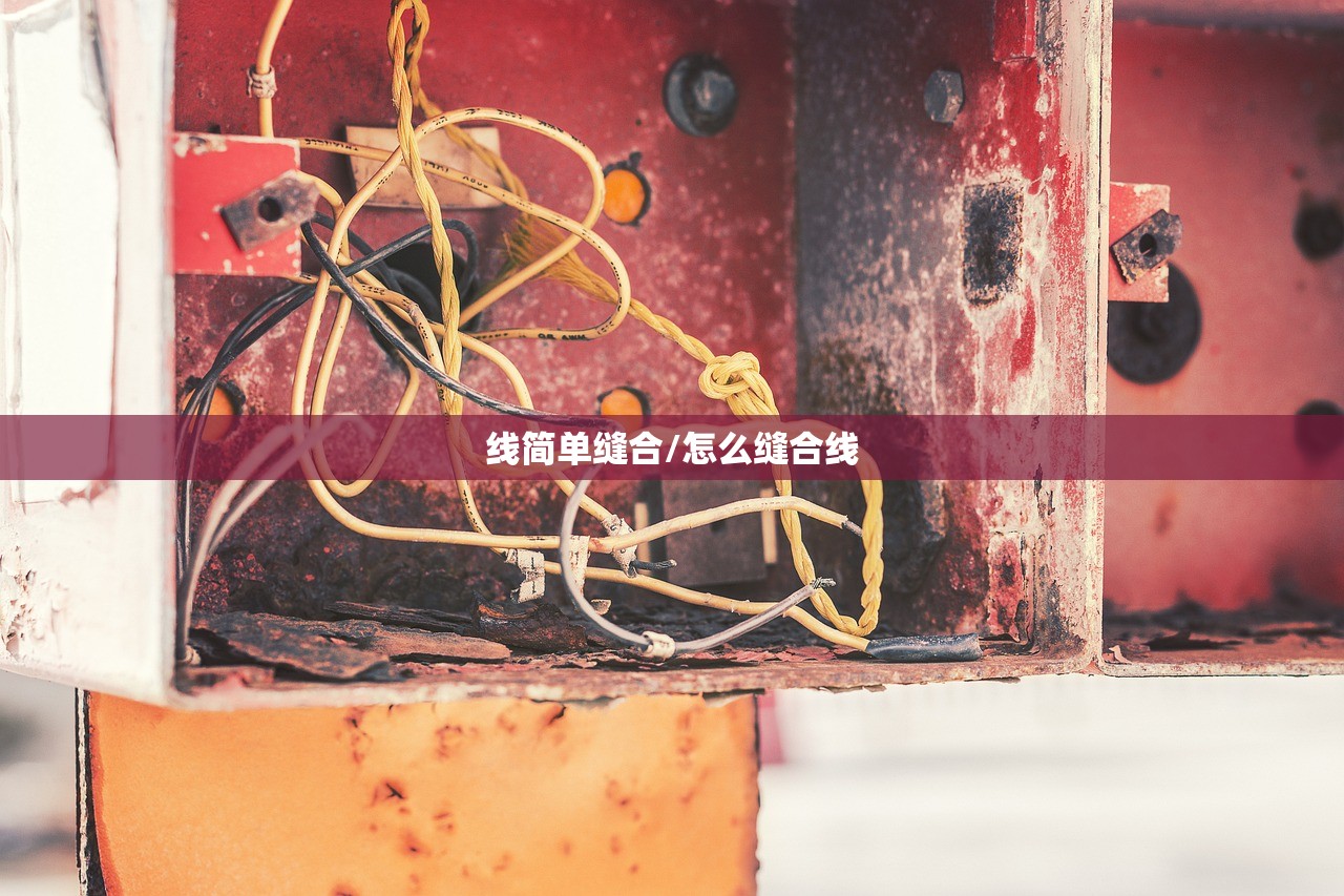 线简单缝合/怎么缝合线