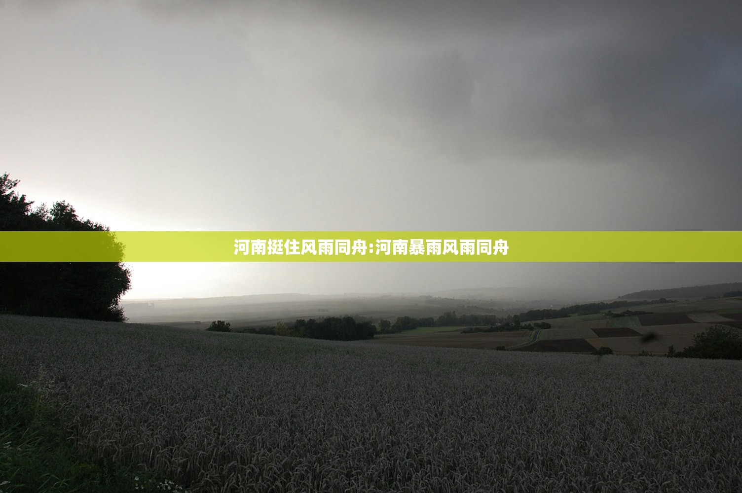 河南挺住风雨同舟:河南暴雨风雨同舟