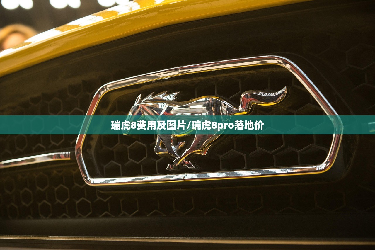 瑞虎8费用及图片/瑞虎8pro落地价