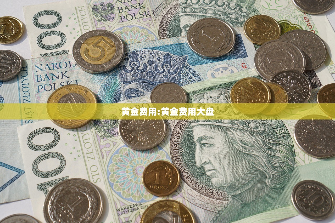 黄金费用:黄金费用大盘