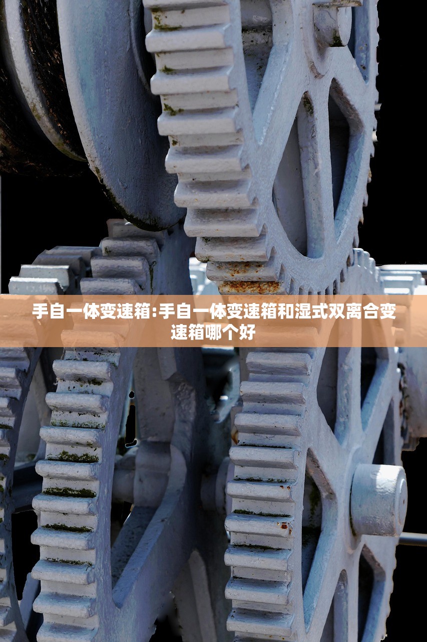 助赢神器“真人天天麻将怎么开挂”细辅助教程分享