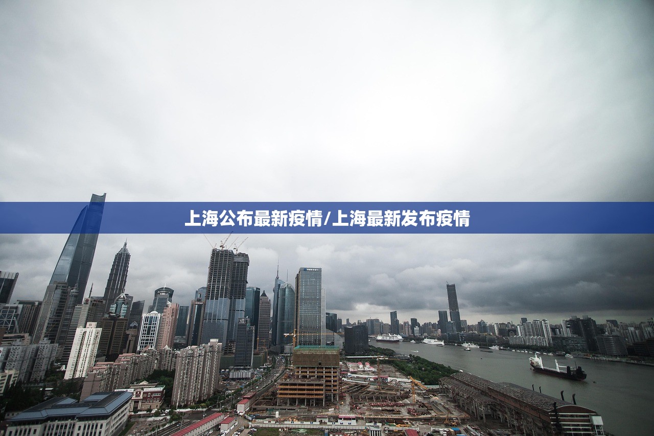 上海公布最新疫情/上海最新发布疫情