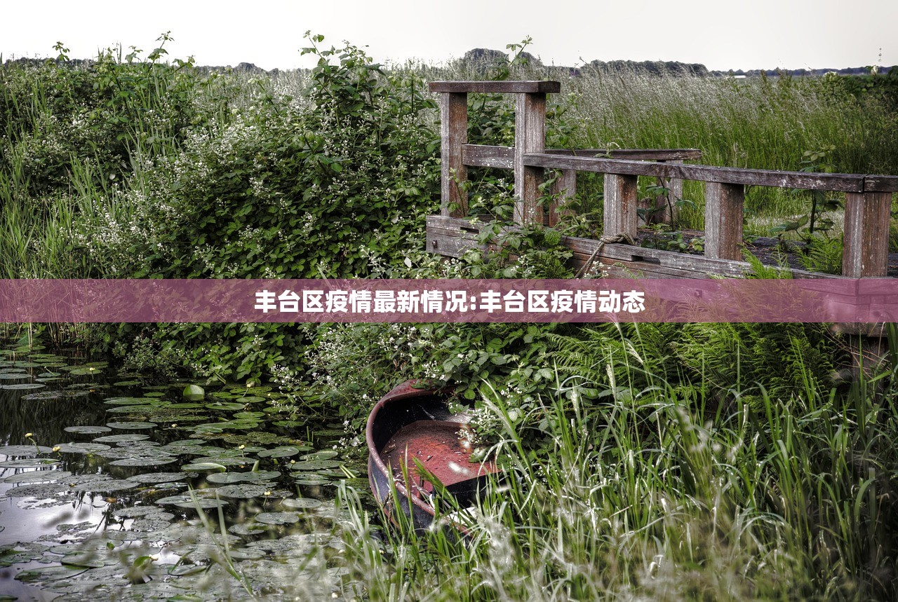 丰台区疫情最新情况:丰台区疫情动态