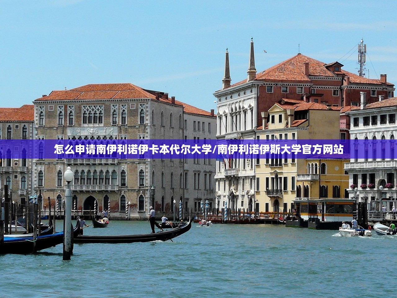 怎么申请南伊利诺伊卡本代尔大学/南伊利诺伊斯大学官方网站