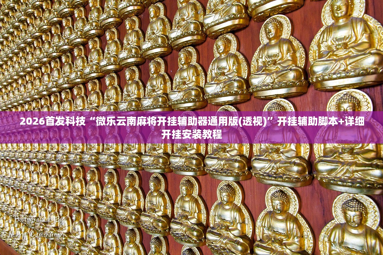 2026首发科技“微乐云南麻将开挂辅助器通用版(透视)”开挂辅助脚本+详细开挂安装教程