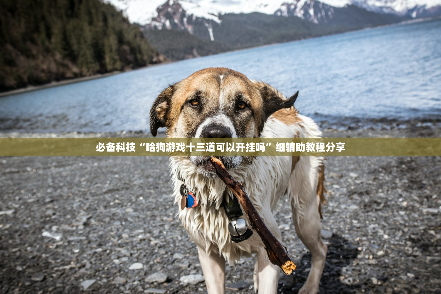 分享实测辅助“微信小程序微乐江西麻将怎么开挂”开挂(透视)辅助教程