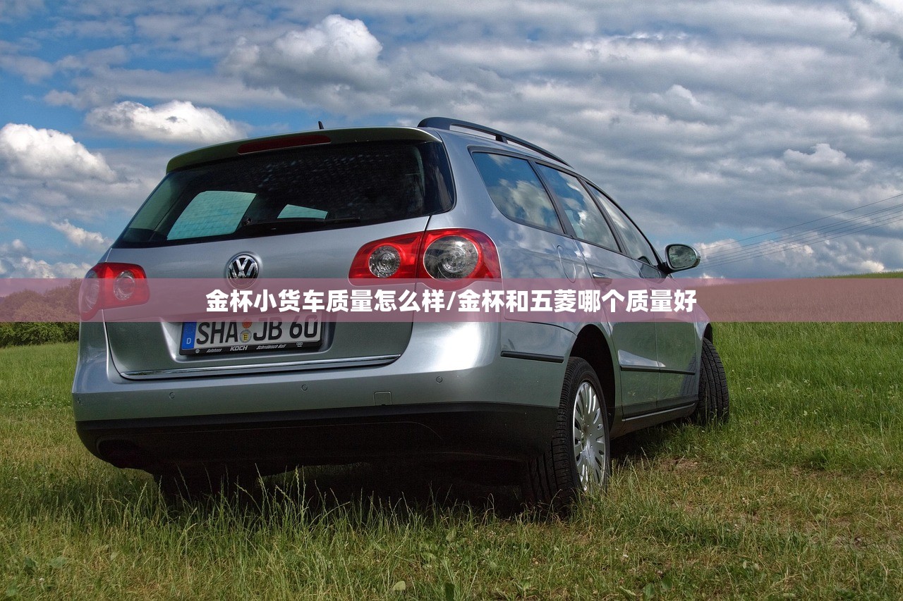 实测辅助“微乐卡五星辅助器”(透视)其实确实有挂