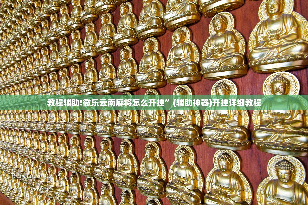 山东新增本土确诊121例无症状255例/山东新增本土确诊121例无症状255例