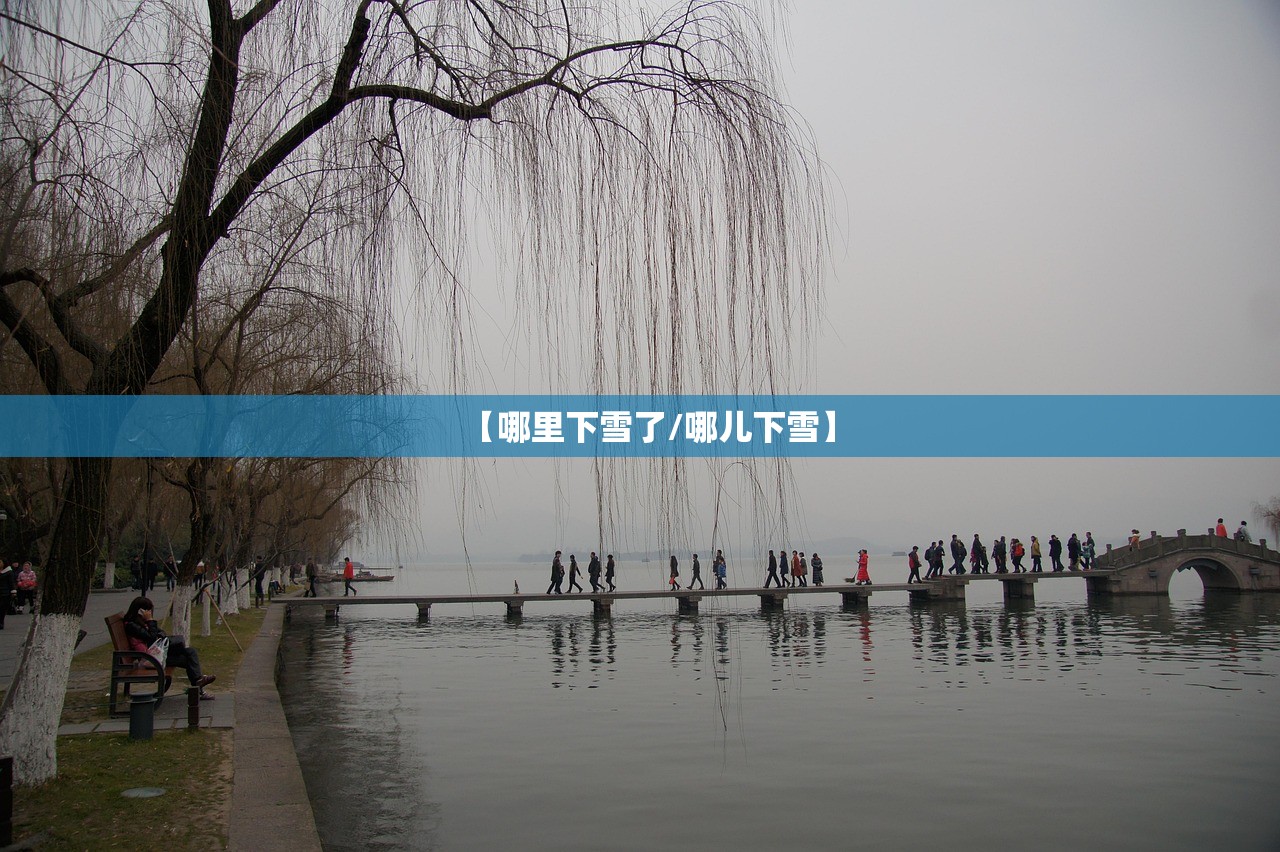 【哪里下雪了/哪儿下雪】