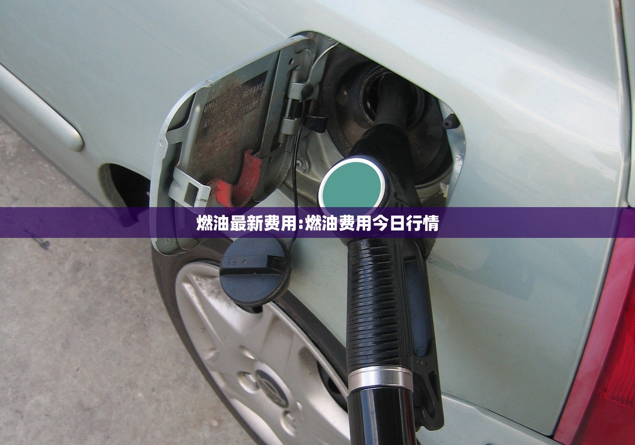 燃油最新费用:燃油费用今日行情
