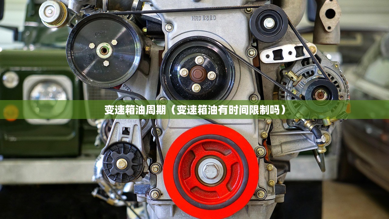 12月1日起取消核酸检查/是否取消核酸检测