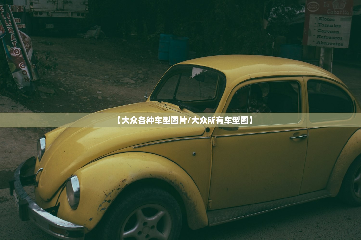 【大众各种车型图片/大众所有车型图】