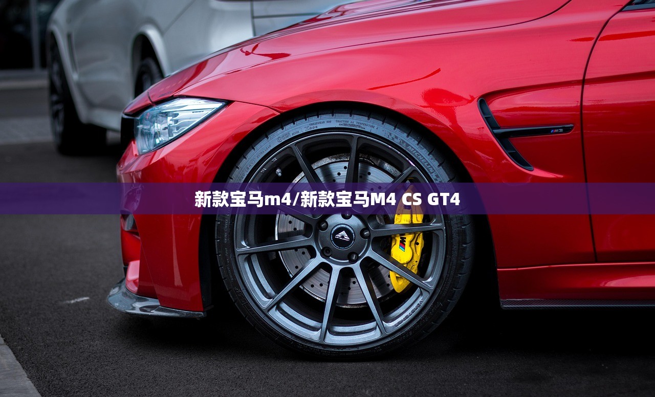 新款宝马m4/新款宝马M4 CS GT4
