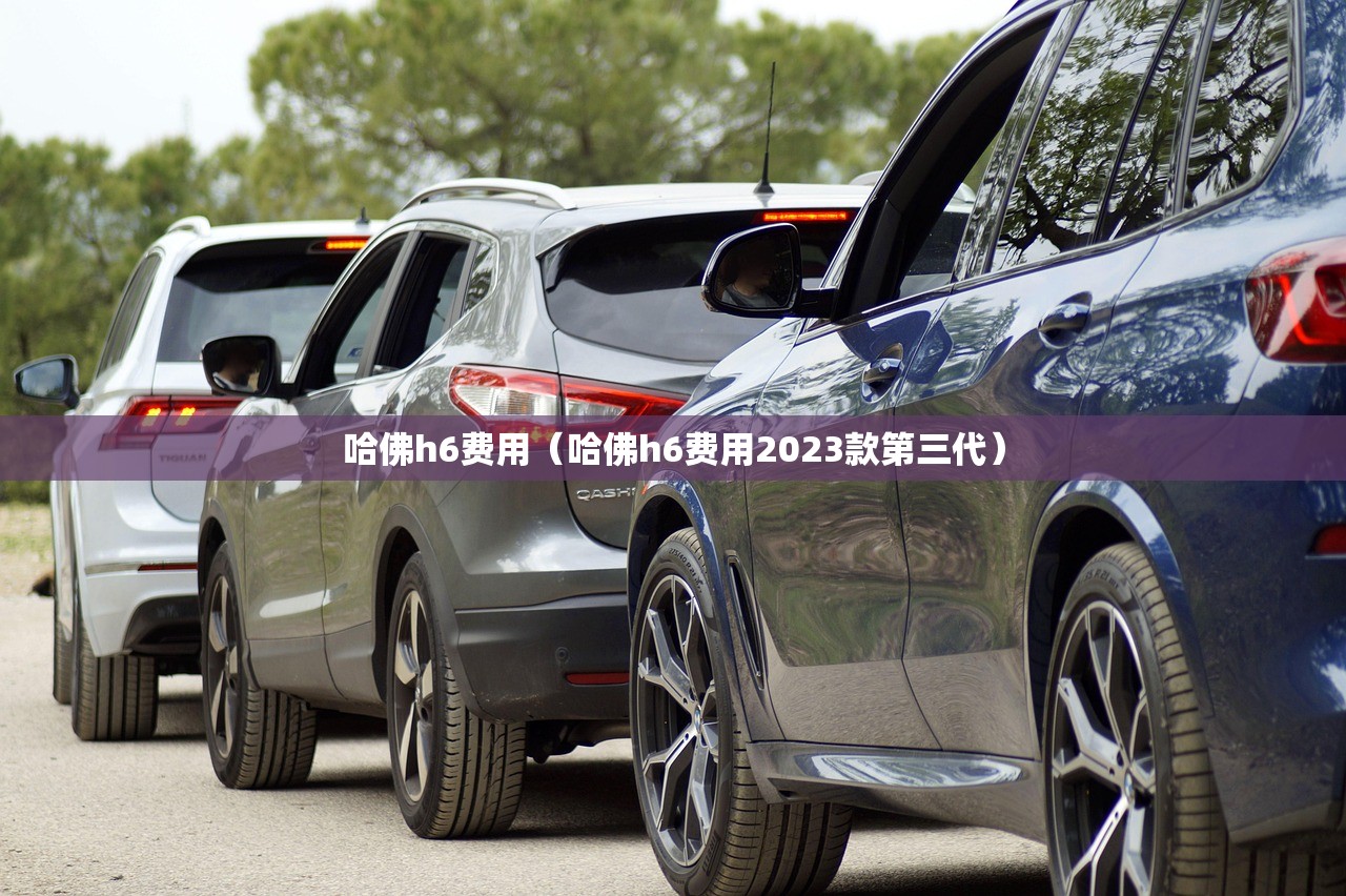 哈佛h6费用（哈佛h6费用2023款第三代）