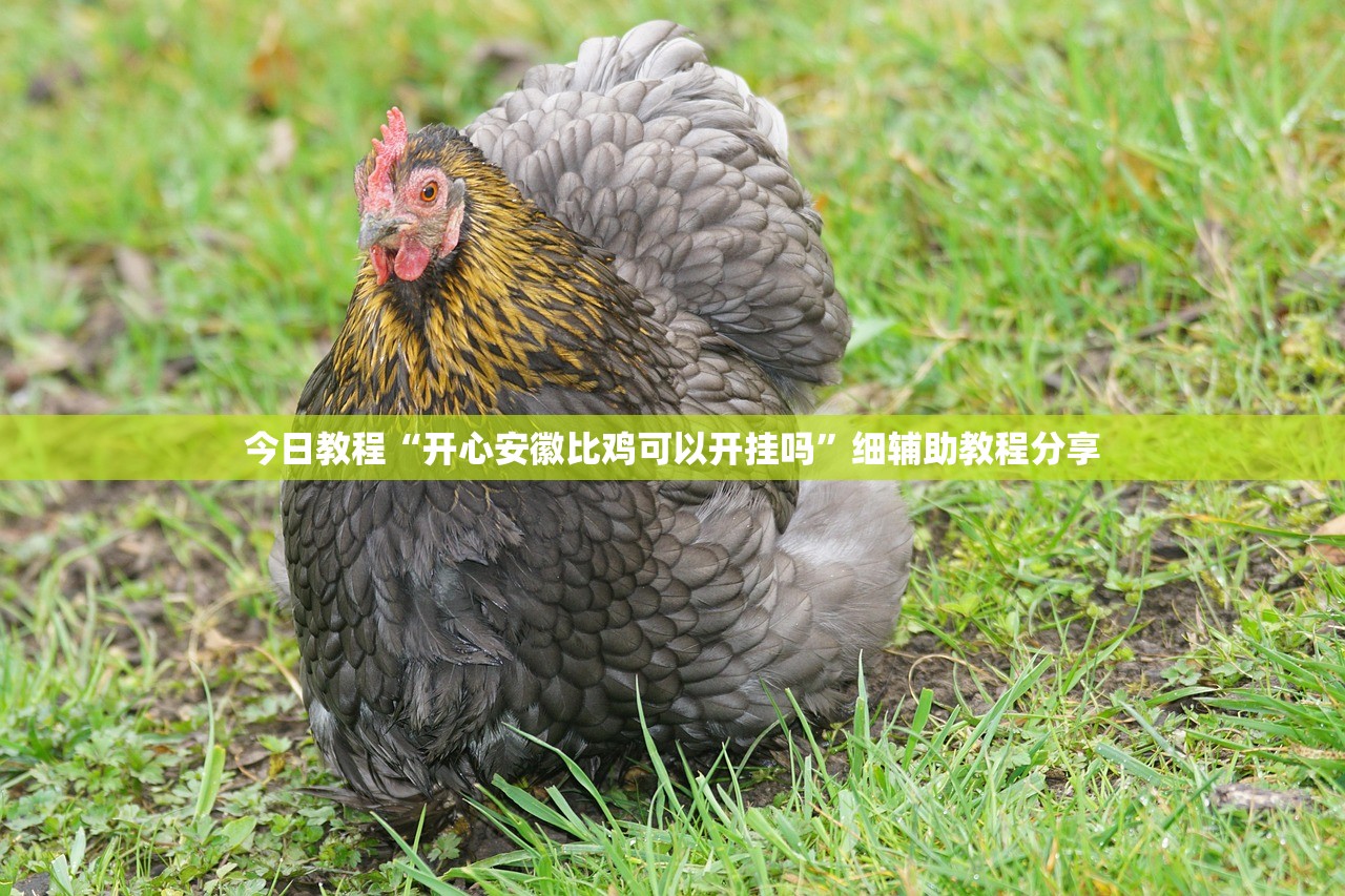 一键必胜“微乐甘肃麻将有挂吗”其实确实有挂