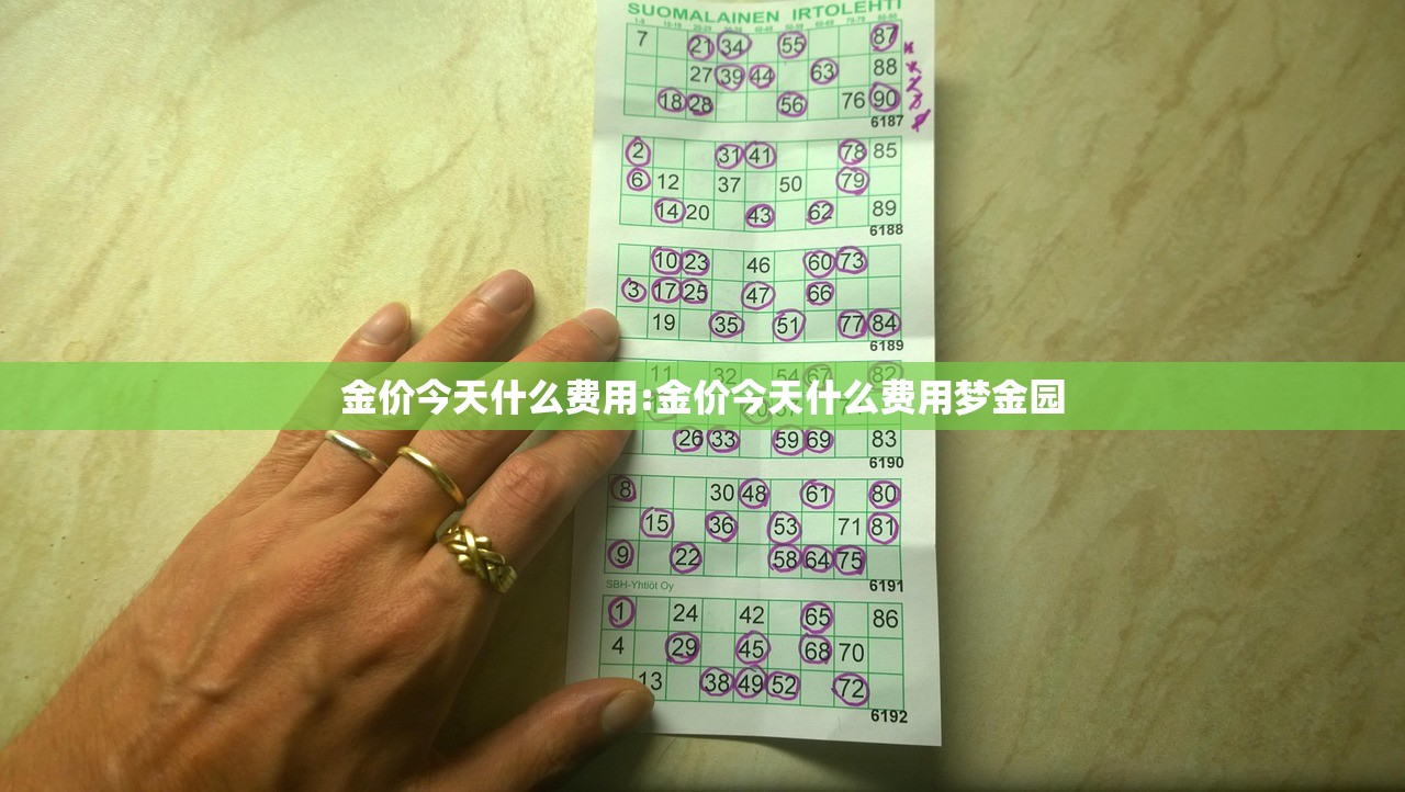 金价今天什么费用:金价今天什么费用梦金园
